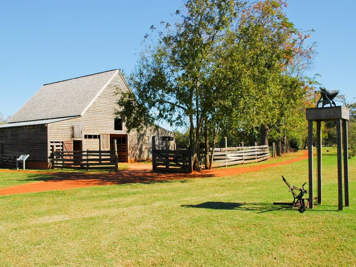 Tổng thống Mỹ thứ 39 Jimmy Carter, 95 tuổi, lớn lên ở Plains, Georgia. Ông từng thu hoạch và bán bông, đậu phộng, mía và ngô cho đến năm 1941. Ảnh: Shutterstock.