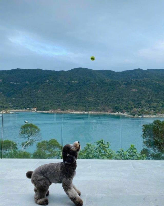 Tiết lộ căn nhà siêu sang của Trần Vỹ Đình ảnh 13