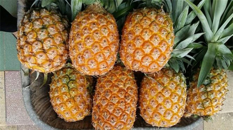 Cách chọn dứa tươi ngon, ngọt lịm ảnh 1 Cách chọn dứa tươi ngon, ngọt lịm ảnh 1