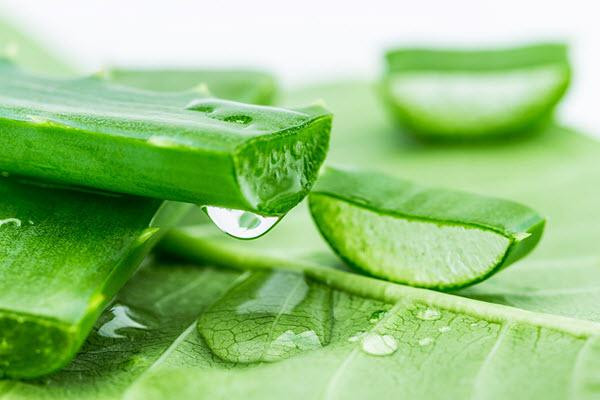 Thực phẩm rẻ bèo giúp mờ nám, tàn nhang, làm sáng da hiệu quả Thuc pham re beo giup mo nam, tan nhang, lam sang da hieu qua