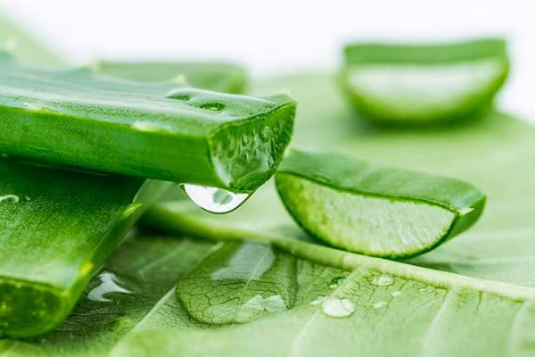 Thuc pham re beo giup mo nam, tan nhang, lam sang da hieu qua