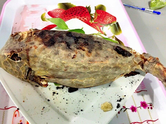 Thậm chí thịt của chúng được so sánh với cả thịt gà vì có màu trắng và hương vị gần giống.