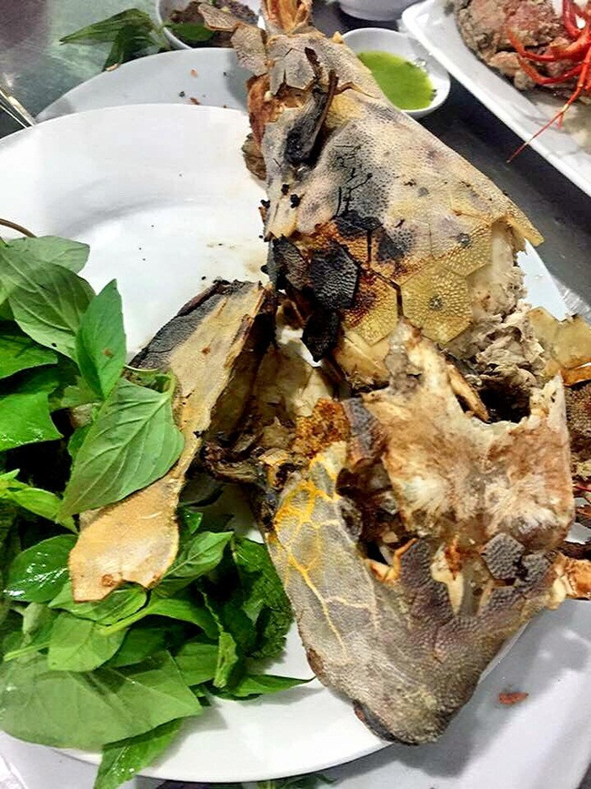 Thân cá dài, khung xương cứng. Có nơi còn đặt với cái tên khá lạ là "gà nước mặn".