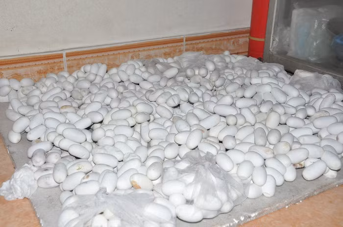 Ngoi lang ty phu nuoi mang xa noi tieng, gio ngap trong dong no-Hinh-4