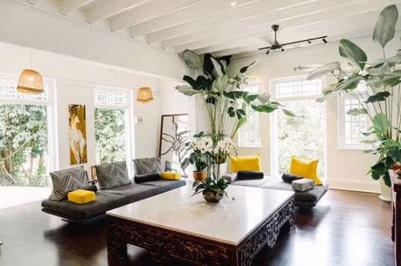 Thu Minh tham nha co 80 nam tuoi cua cuu sieu mau Bang Lang-Hinh-7