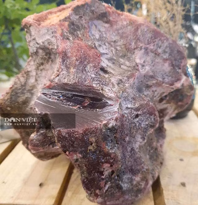 Vo tinh vo duoc cuc da la ,chu nhan ban voi cung duoc tien ty