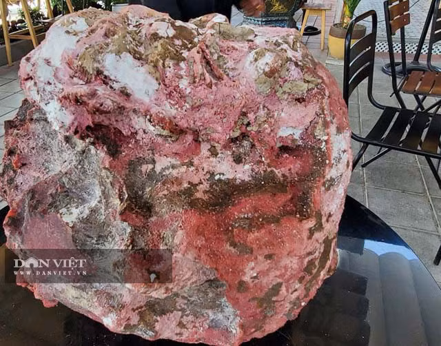 Vo tinh vo duoc cuc da la ,chu nhan ban voi cung duoc tien ty-Hinh-2