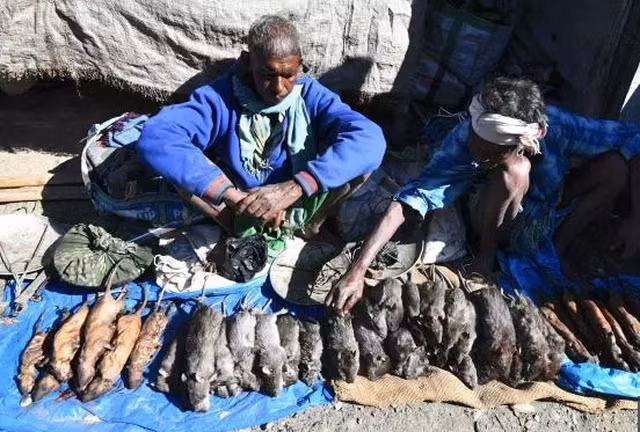 O noi thit chuot duoc coi la dac san tuyet dinh kungfu-Hinh-5