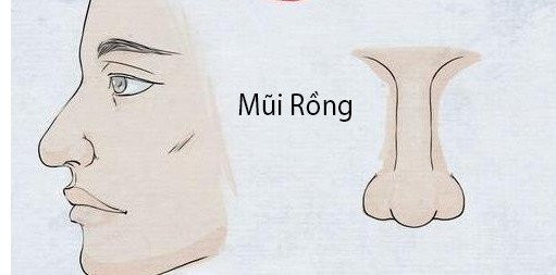 Trong nhân tướng học có 3 tướng mũi phú quý - Hình 2 Trong nhan tuong hoc co 3 tuong mui phu quy-Hinh-2