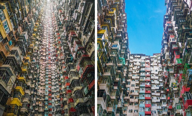 Cu lua cuc dinh dang sau nhung buc anh 