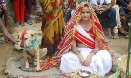 La ky nhung vu nguoi ket hon voi… dong vat