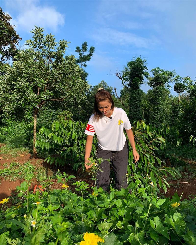 Xem H'Hen Nie thu hoach rau cu, ai cung thich ve Tay Nguyen