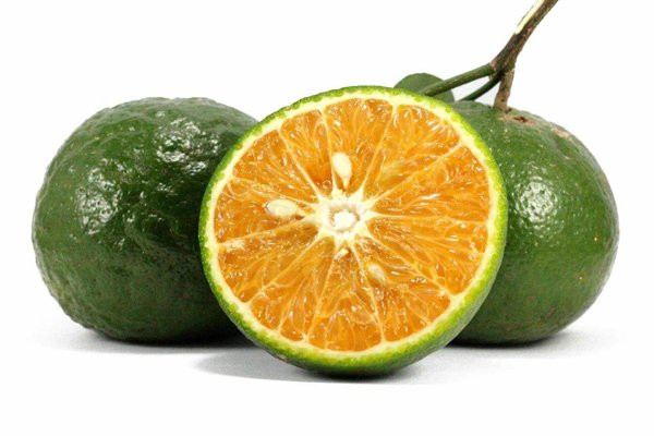 Ban da biet cach chon cam ngon, mong nuoc khong bi dang