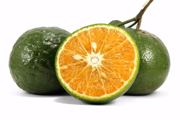 Ban da biet cach chon cam ngon, mong nuoc khong bi dang