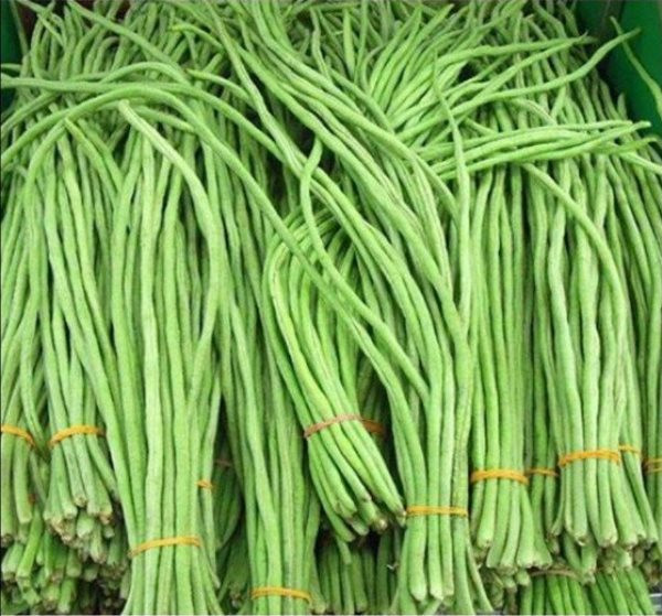 Nguy cơ mất mạng khi sử đụng đậu đũa sai cách ảnh 3