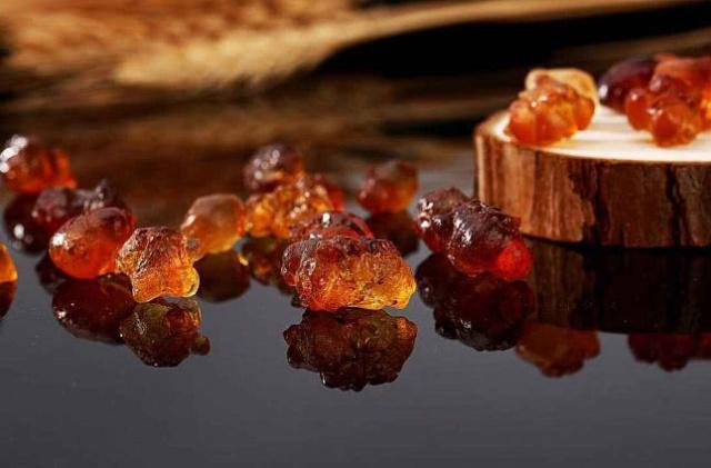 Giong cay chay nuoc mui, hung dem ban duoc hang tram nghin/kg-Hinh-3