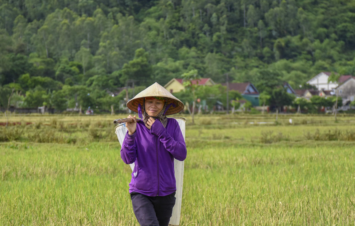 Troi nang 40 do ra dong san 'con com', kiem tien trieu moi ngay-Hinh-2