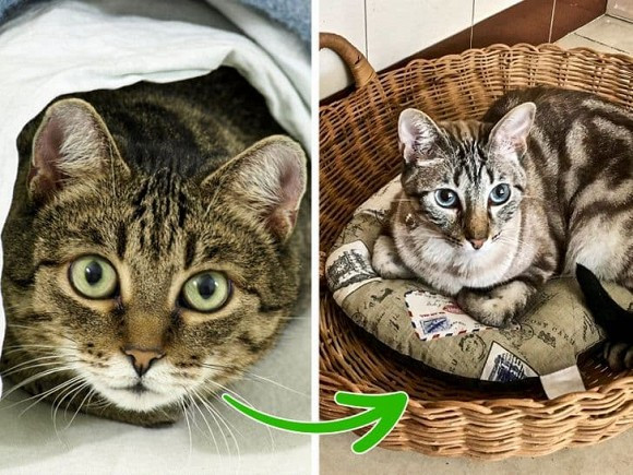 Ban than luon cam thay lo lang co the do 8 thu nay trong nha-Hinh-7