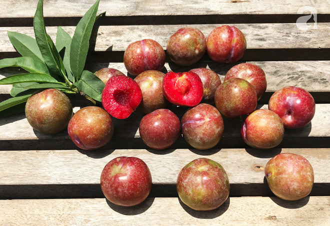 Cach chon man tuoi ngon tram qua nhu mot khong bi sau thoi-Hinh-2