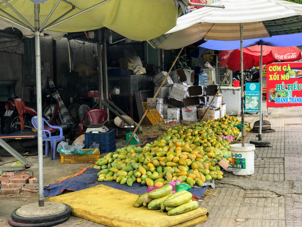 Xoai do dong ban day duong pho, gia chi 10.000 dong/kg-Hinh-7