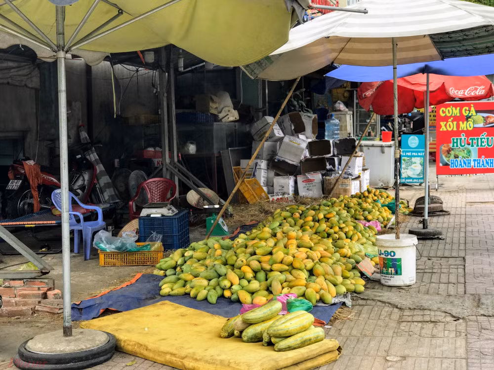 Xoai do dong ban day duong pho, gia chi 10.000 dong/kg-Hinh-7