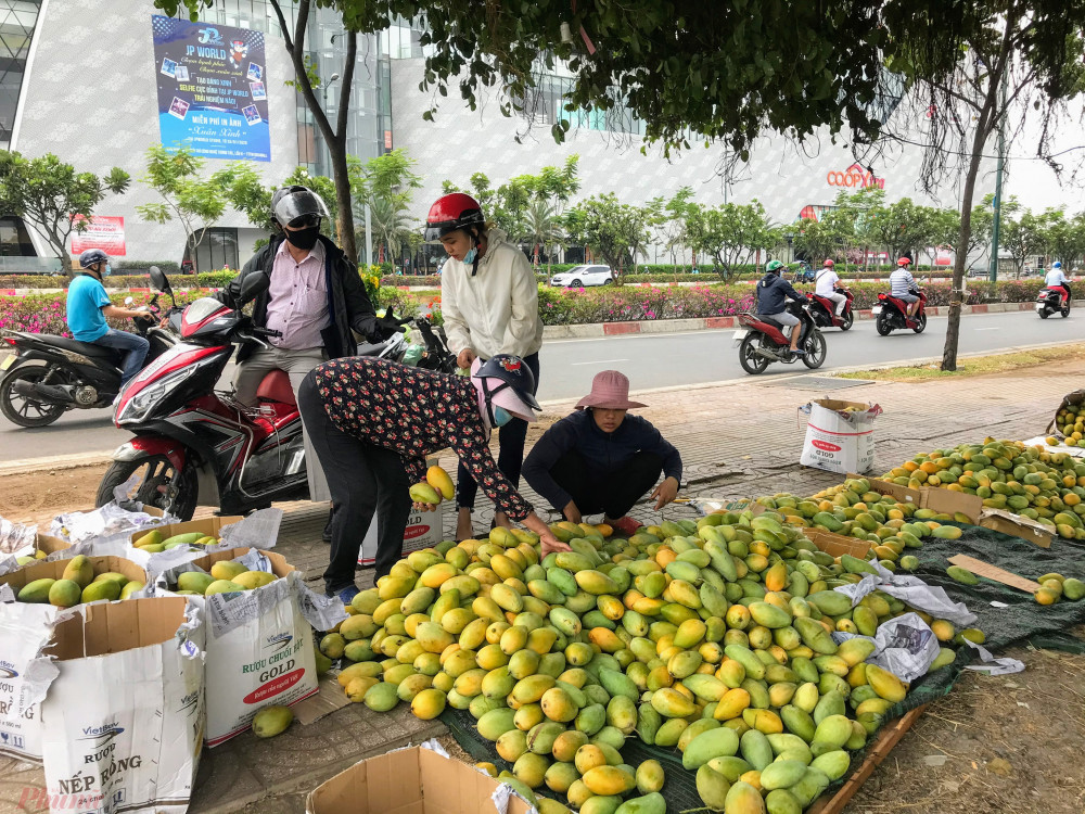 Xoai do dong ban day duong pho, gia chi 10.000 dong/kg-Hinh-4