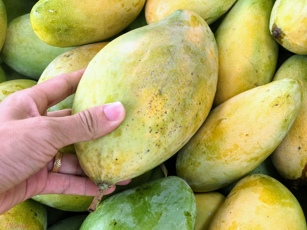 Xoai do dong ban day duong pho, gia chi 10.000 dong/kg-Hinh-6