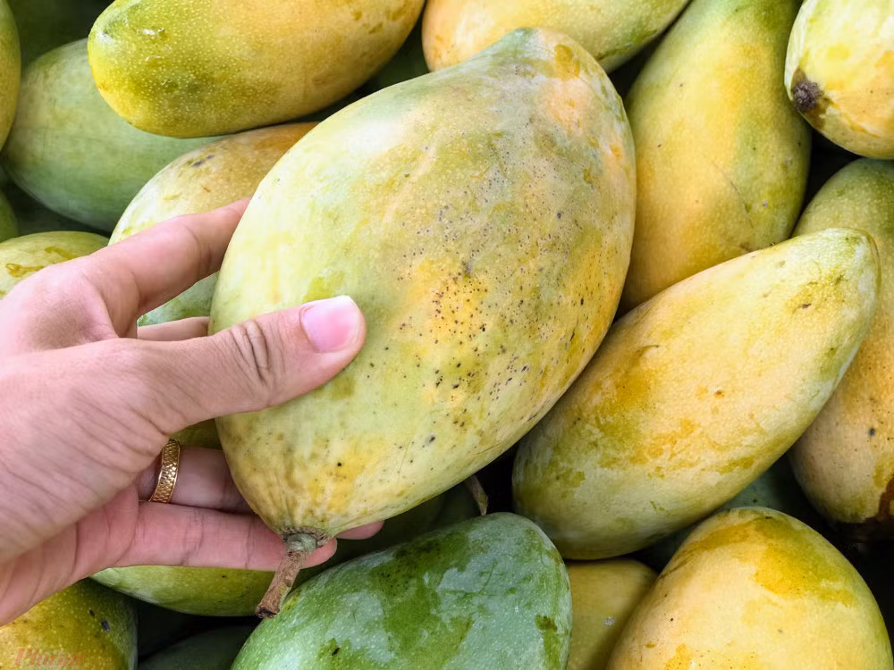 Xoai do dong ban day duong pho, gia chi 10.000 dong/kg-Hinh-6