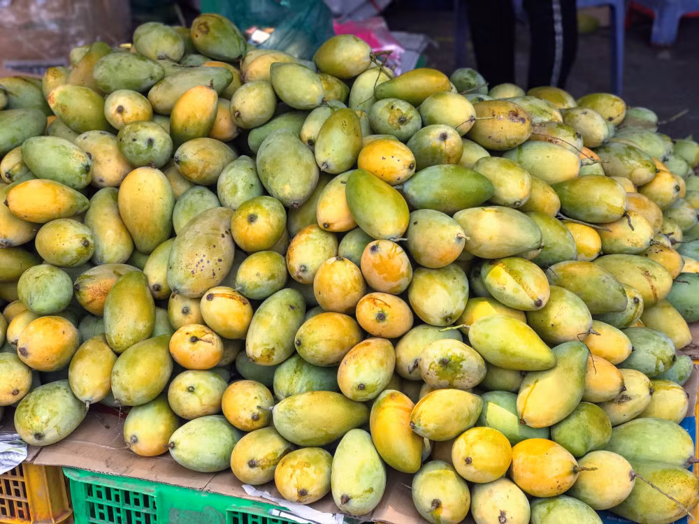 Xoai do dong ban day duong pho, gia chi 10.000 dong/kg-Hinh-2