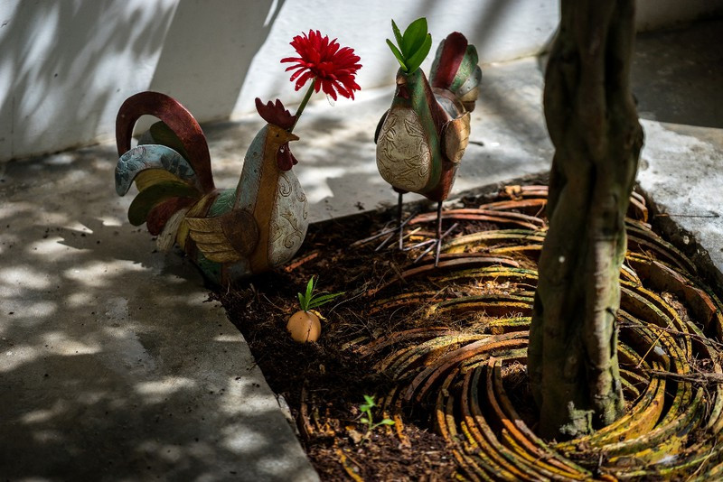 Ngam ngoi nha ong co khong gian chong lop giua long Sai Gon-Hinh-4