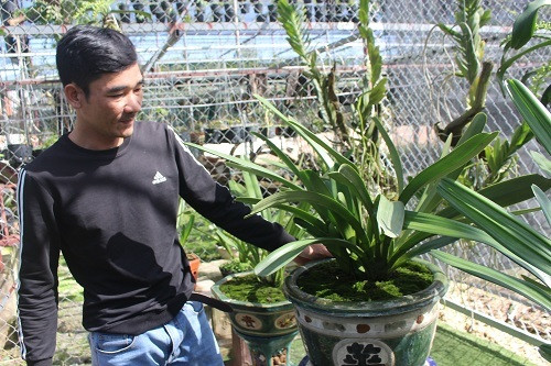 Vuon lan rung tien ty cua ky su tin hoc bo pho ve que-Hinh-4