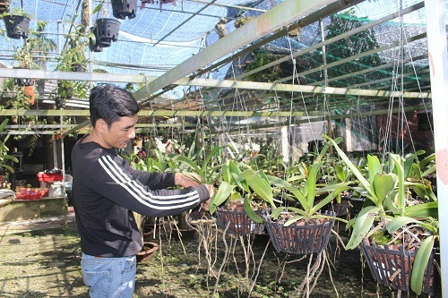 Vuon lan rung tien ty cua ky su tin hoc bo pho ve que-Hinh-6