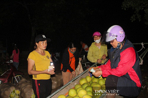 'Chợ' chỉ bán duy nhất một thứ quả, toả mùi thơm ai cũng muốn ăn - Hình 4 'Cho' chi ban duy nhat mot thu qua, toa mui thom ai cung muon an-Hinh-4