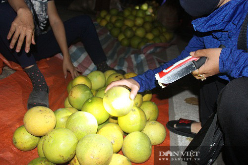 'Chợ' chỉ bán duy nhất một thứ quả, toả mùi thơm ai cũng muốn ăn - Hình 5 'Cho' chi ban duy nhat mot thu qua, toa mui thom ai cung muon an-Hinh-5