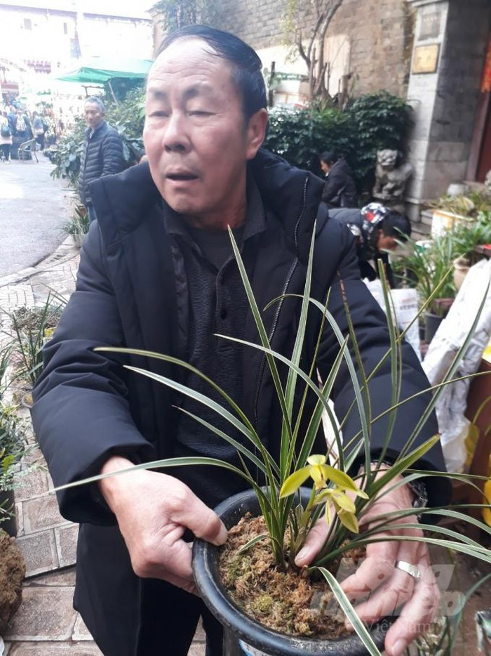 Chu vuon nho dat nhan ra 1.000 cay lan dot bien, tra ngay 10 ty-Hinh-8