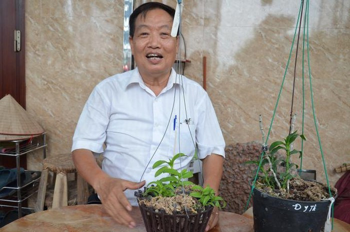 Chu vuon nho dat nhan ra 1.000 cay lan dot bien, tra ngay 10 ty-Hinh-6