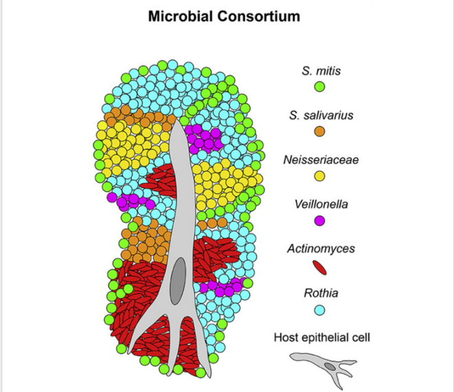Day la nhung gi dang dien ra tren luoi cua chung ta