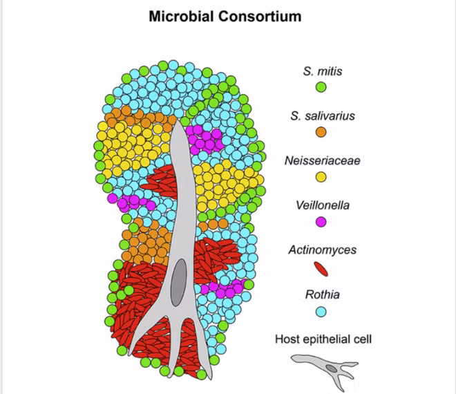 Day la nhung gi dang dien ra tren luoi cua chung ta