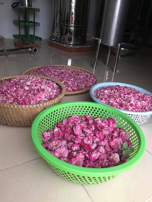 Khu vực chưng cất nước hoa hồng. Với công suất mỗi ngày 10 lít nước hoa hồng, 5kg trà hoa và 3kg bột hoa hồng, sản phẩm của chị làm ra đến đâu được tiêu thụ hết đến đó. Ngoài ra, chị còn thu mua trà xanh, diếp cá, tía tô, cần tây của bà con nông dân trong vùng rồi tận dụng máy móc để làm các loại bột nguyên chất dùng trong chế biến thực phẩm và làm đẹp. Đặc biệt hơn, sản phẩm trà hoa hồng của chị đã được một doanh nghiệp Nhật Bản kí hợp đồng hợp tác phân phối tại Nhật Bản sau khi test mẫu đạt tiêu chuẩn không hóa chất, màu sắc và các chất có lợi trong bông hoa không bị biến đổi và không có chất phụ gia trong sản phẩm.