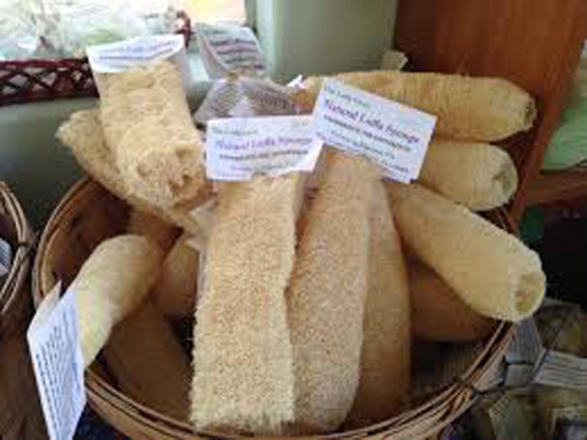 Trước toàn vứt sọt rác, giờ là 'kho tiền' cho nhiều người - Hình 6 Truoc toan vut sot rac, gio la 'kho tien' cho nhieu nguoi-Hinh-6