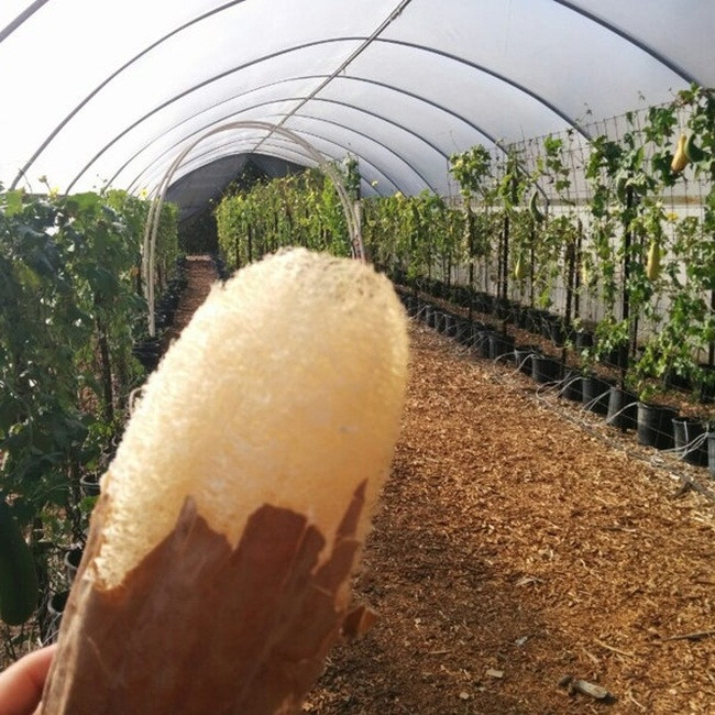 Trước toàn vứt sọt rác, giờ là 'kho tiền' cho nhiều người - Hình 10 Truoc toan vut sot rac, gio la 'kho tien' cho nhieu nguoi-Hinh-10