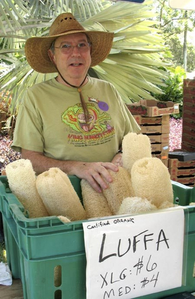 Trước toàn vứt sọt rác, giờ là 'kho tiền' cho nhiều người - Hình 8 Truoc toan vut sot rac, gio la 'kho tien' cho nhieu nguoi-Hinh-8