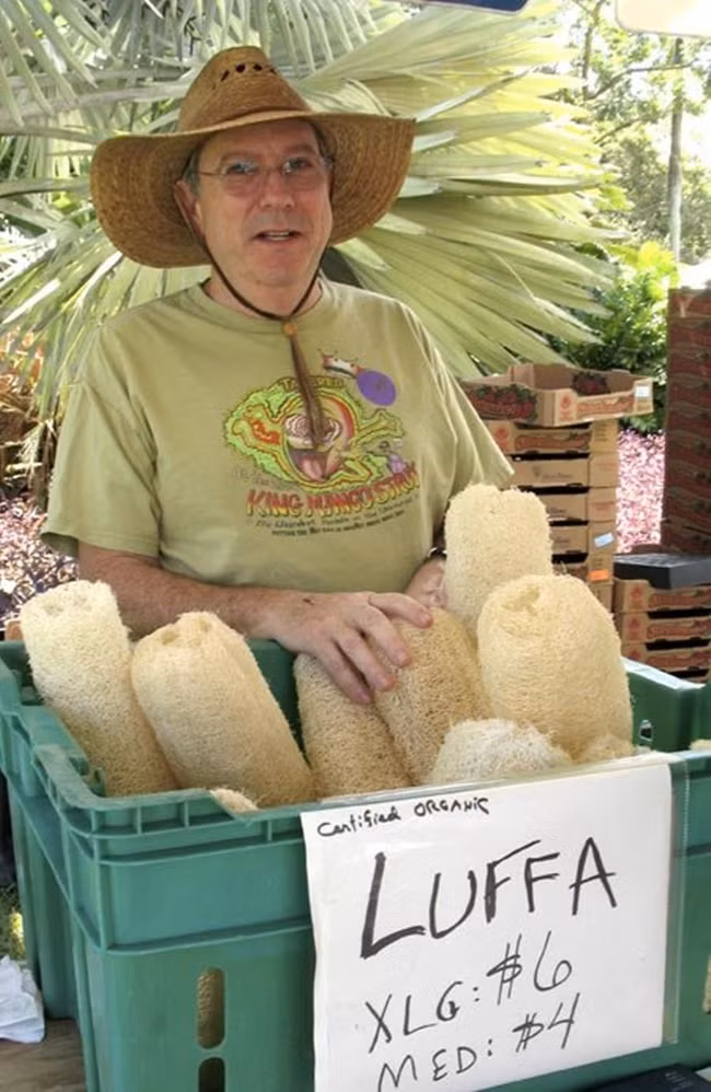 Truoc toan vut sot rac, gio la 'kho tien' cho nhieu nguoi-Hinh-8