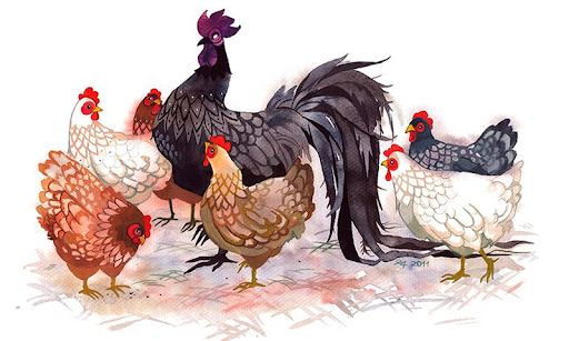 Con giap su nghiep vung chac, tinh duyen vien man-Hinh-2