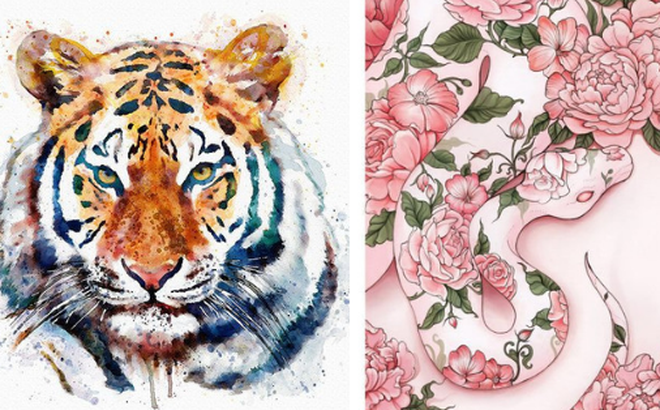 Tử vi tuần mới: Hợi rung đùi hốt bạc, Tỵ chú ý sức khỏe Tu vi tuan moi: Hoi rung dui hot bac, Ty chu y suc khoe