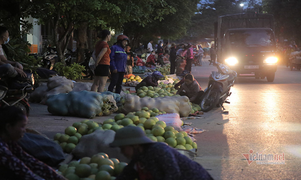 Dac san rot gia, re nhat 20 nam qua, dan soi den di cho thau dem-Hinh-9