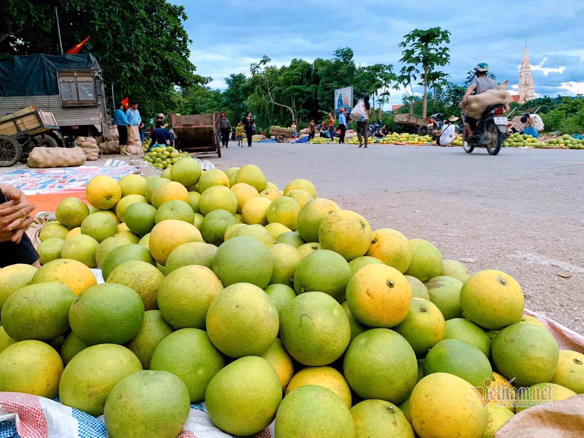 Dac san rot gia, re nhat 20 nam qua, dan soi den di cho thau dem-Hinh-3