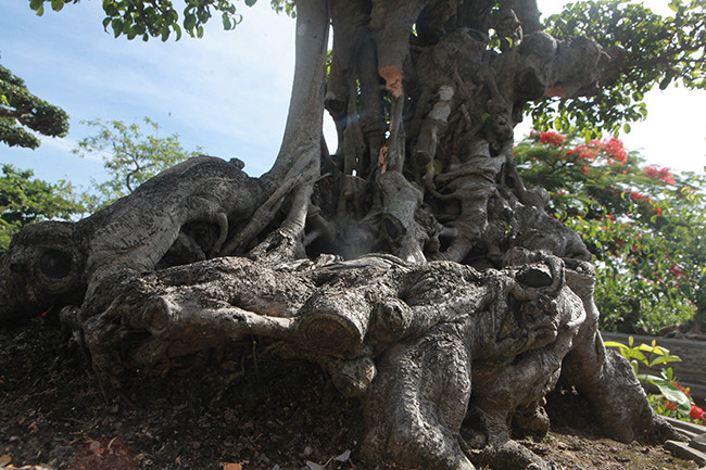 Anh Chí vẫn đang tiếp tục hoàn thiện tác phẩm. Một số khách đã trả tới 7 tỷ đồng nhưng anh Chí không bán