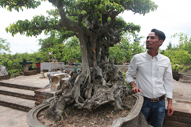 Nhìn tổng thể nó là một cây thế vừa giữ lại được các nét kì quái, cổ xưa, vừa có bàn tay mới tạo tác.