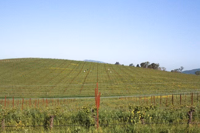 Khi ông chụp bức ảnh đó, tất cả những gì có thể thấy là ngọn đồi màu xanh, sườn núi phía sau và một vài đám mây.